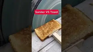 Sander VS Toast