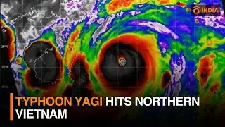 Typhoon Yagi hits Northern Vietnam | DD India