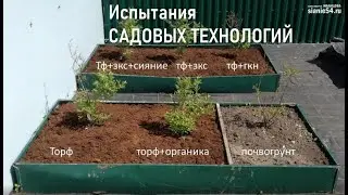 Садовые технологии - какие лучше? Результаты испытаний 2018.