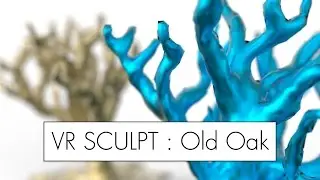 VR Sculpt // Old Oak