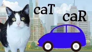 The CAR and the CAT - do we have common relatives?