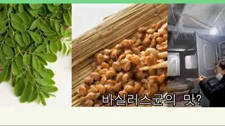 청국장 가루의 원래 맛은 어떤 맛일까(전화번호수정 0507-1377-3621)
