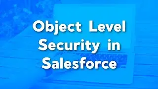 Salesforce Object Level Security Explained | Salesforce Security Features