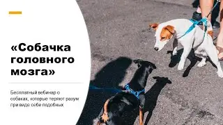 Вебинар 