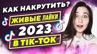 Как накрутить ЖИВЫЕ лайки в ТикТок 2023 | Накрутка TikTok