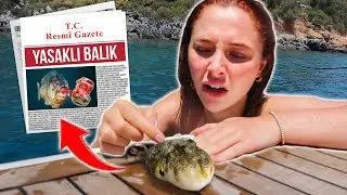 KATİL BALON BALIĞI YAKALADIM!!! (LÜKS YATTA TATİL)