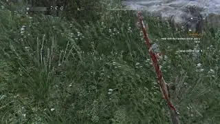 Dying light the following