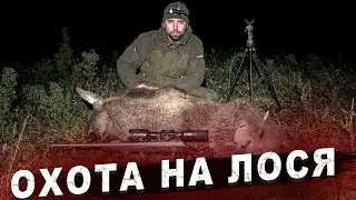 Охота на лося. Зря я делал этот выстрел...