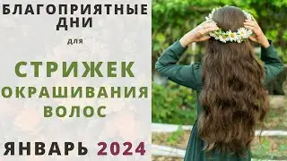 Лунный календарь СТРИЖЕК и ОКРАШИВАНИЯ волос на Январь 2024!