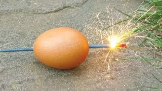 Sparkler Meets Egg: The Explosive Result! | TheDadLab Experiment