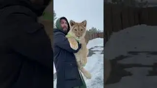 Как вам такой домашний питомец?😳 | Тренды тик ток 2022 | Приколы с животными | котики 