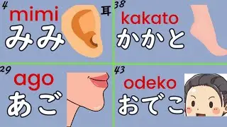 Hiragana Nouns: 50 Japanese Words about Body