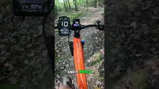 Downhill Ride with Velotric Summit 1