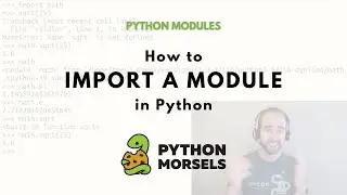 How to import a module in Python