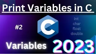 print variables in c using different data types