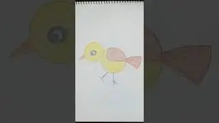 Create a Beautiful Bird Drawing in JUST Minutes with Easy Steps