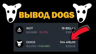 Вывод DOGS от А до Я на tonkeeper и binance