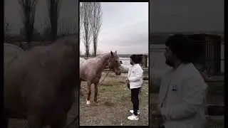 Бруль лақабли отимиз✊🏻