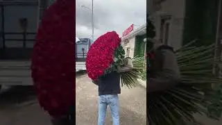 огромный букет роз 