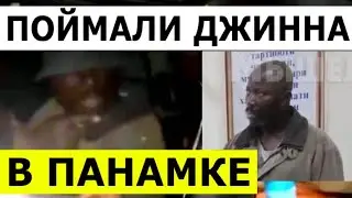 В Таджикистане поймали Джинна - это был Негр в панамке