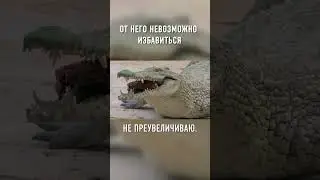 Самый Опасный КРОКОДИЛ Всех Времен 
