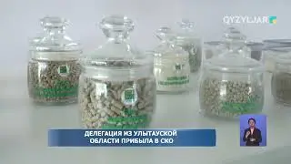 Делегация из Улытауской области прибыла в СКО