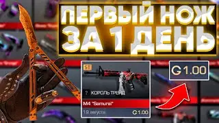 ТРЕЙД С НУЛЯ ДО НОЖА ЗА 1 ДЕНЬ! С НУЛЯ ДО НОЖА ТРЕЙД / Трейд Стандофф 2 / Трейд Standoff 2