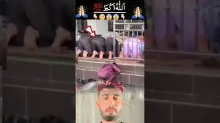 Namaz ki jagh😭🙏 #shorts #youtubeshorts #trending #shortsfeed #viral