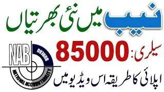 NAB Career Jobs 2024 - How to Online Apply for National Accountability Bureau Jobs - Latest NAB Jobs