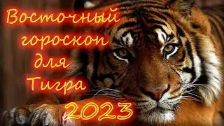 Тигр/Восточный гороскоп для Тигра на 2023год.