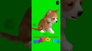 Various gestures of cute doggy 🐶 #short #green #greenscreenvideo #animation