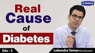 What Causes Diabetes | Does Insulin Resistance Causes Diabetes | Diabexy EDU - 3