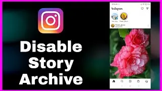 How To Stop Instagram Stories Saving To Archive