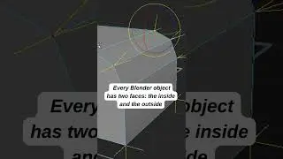 What are these nasty thorns in Blender?