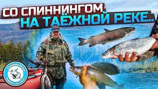 GRAYLING and WHITEFISH are caught SPINNING on the taiga river. Excellent fishing in Yakutia.