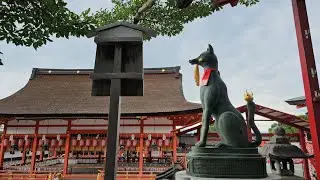 일본 교토 랜선 여행 하루 종일 관광하기 후시미 이나리 신사, 이나리 산 정상 #伏見稲荷大社 #일본  #여행
