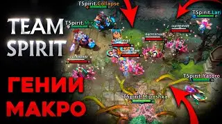 TEAM SPIRIT - ГЕНИИ МАКРО