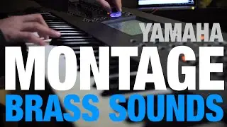 Yamaha Montage Brass Sounds