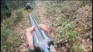 💥 BEAR attacks russian man...