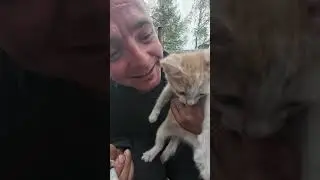 бросили котёнка на погибель до конца не прикол нелюди ужас