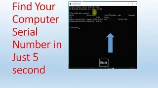 How To Find Computer Serial Number in 5 Second | Find Laptop Serial Number  #computer #laptops