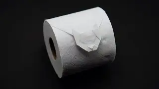 ORIGAMI TOILET PAPER CAT (Jo Nakashima)