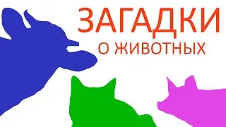 Загадки о животных.