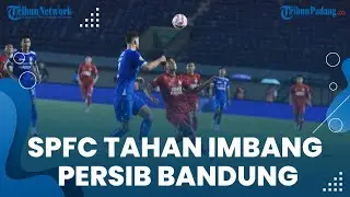 Semen Padang FC Tahan Imbang Persib Bandung! Kabau Sirah Curi Poin di Kandang Maung Bandung