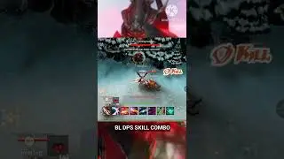 BL DPS Combo 🔥😎