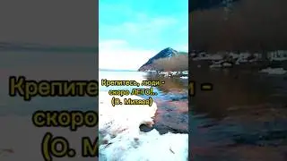 #shorts ВОЛГА. МОРКВАШИ. 2 АПРЕЛЯ.