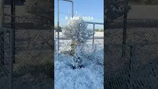 Было зелено, теперь белено🥶😂🏂