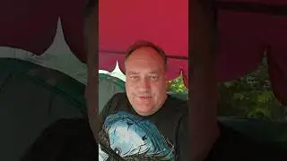 Анализы Пилота и еще одна новость #брестскийаист #спасениептиц #брест
