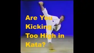 Are You Kicking Too High in Kata