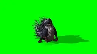 A  Rat with large  thorns   green screen  video Part 1 effect  free